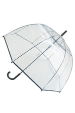 Clear Umbrella